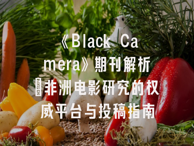 《Black Camera》期刊解析_非洲电影研究的权威平台与投稿指南