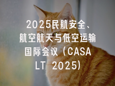 2025民航安全、航空航天与低空运输国际会议（CASALT 2025）