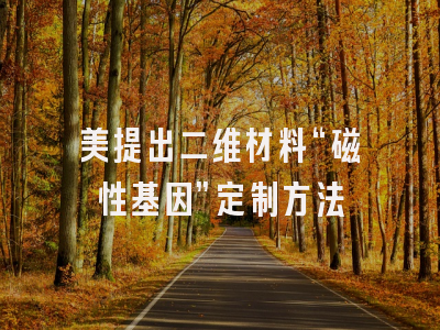 美提出二维材料“磁性基因”定制方法