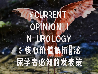 《CURRENT OPINION IN UROLOGY》核心价值解析_泌尿学者必知的发表策略
