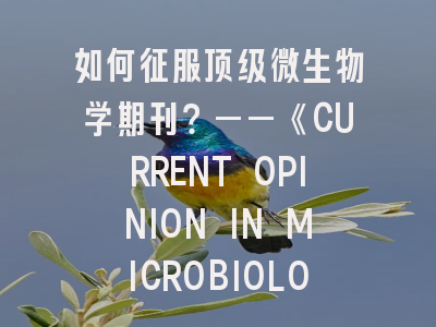 如何征服顶级微生物学期刊？——《CURRENT OPINION IN MICROBIOLOGY》投稿进阶指南