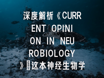 深度解析《CURRENT OPINION IN NEUROBIOLOGY》｜这本神经生物学权威期刊的投稿秘诀