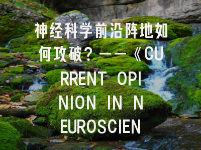 神经科学前沿阵地如何攻破？——《CURRENT OPINION IN NEUROSCIENCE》投稿全攻略