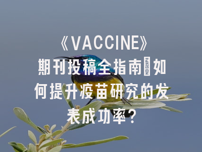 《VACCINE》期刊投稿全指南：如何提升疫苗研究的发表成功率？