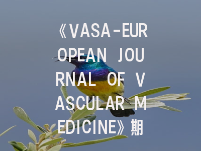 《VASA-EUROPEAN JOURNAL OF VASCULAR MEDICINE》期刊深度解析与高效投稿指南