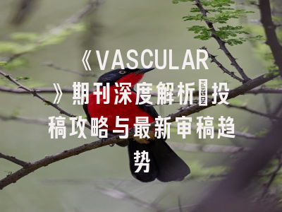 《VASCULAR》期刊深度解析：投稿攻略与最新审稿趋势