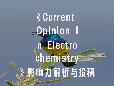 《Current Opinion in Electrochemistry》影响力解析与投稿全攻略——如何打造符合期刊期待的电化学论文？