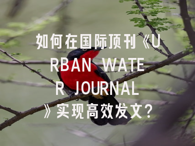 如何在国际顶刊《URBAN WATER JOURNAL》实现高效发文？