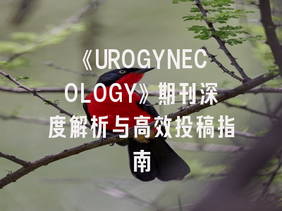 《UROGYNECOLOGY》期刊深度解析与高效投稿指南