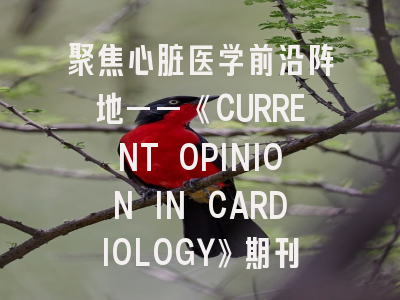 聚焦心脏医学前沿阵地——《CURRENT OPINION IN CARDIOLOGY》期刊解读与投稿实战