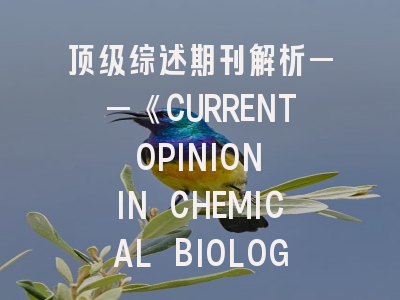 顶级综述期刊解析——《CURRENT OPINION IN CHEMICAL BIOLOGY》投稿全攻略