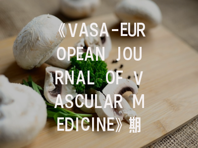 《VASA-EUROPEAN JOURNAL OF VASCULAR MEDICINE》期刊深度解析与高效投稿指南