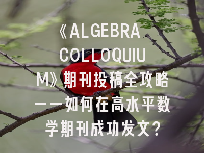 《ALGEBRA COLLOQUIUM》期刊投稿全攻略——如何在高水平数学期刊成功发文？