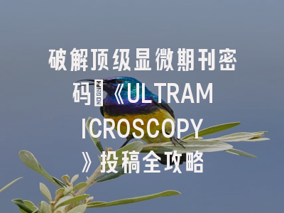 破解顶级显微期刊密码：《ULTRAMICROSCOPY》投稿全攻略