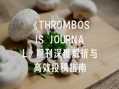 《THROMBOSIS JOURNAL》期刊深度解析与高效投稿指南