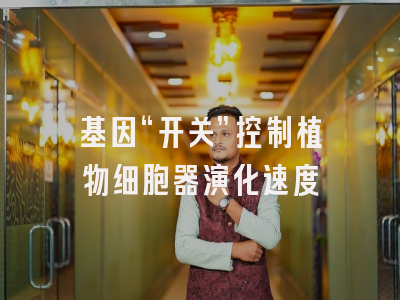 基因“开关”控制植物细胞器演化速度