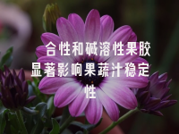 学术会议在线