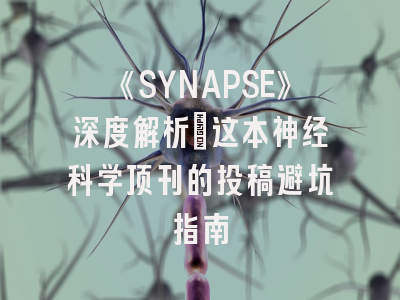 《SYNAPSE》深度解析：这本神经科学顶刊的投稿避坑指南