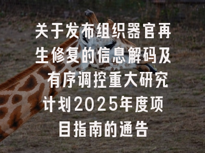 关于发布组织器官再生修复的信息解码及 有序调控重大研究计划2025年度项目指南的通告