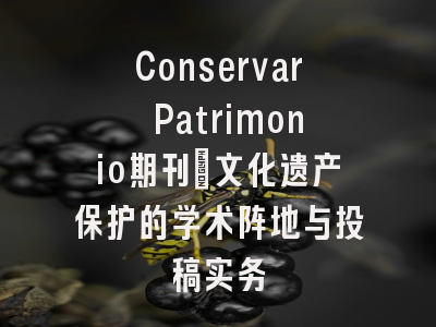 Conservar Patrimonio期刊：文化遗产保护的学术阵地与投稿实务