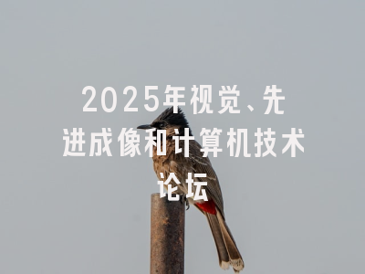 2025年视觉、先进成像和计算机技术论坛