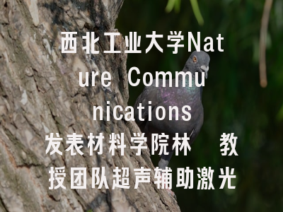 西北工业大学Nature Communications发表材料学院林鑫教授团队超声辅助激光增材制造新突破