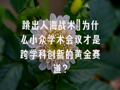 跳出人海战术：为什么小众学术会议才是跨学科创新的黄金赛道？