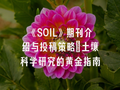 《SOIL》期刊介绍与投稿策略：土壤科学研究的黄金指南