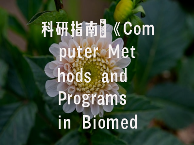 科研指南：《Computer Methods and Programs in Biomedicine》期刊定位与投稿策略解析