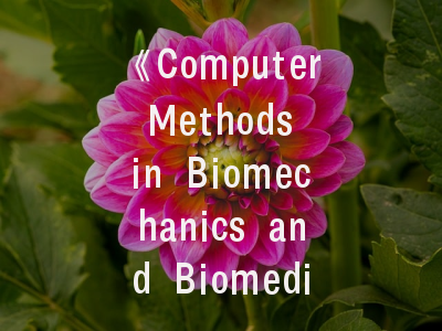 《Computer Methods in Biomechanics and Biomedical Engineering-Imaging and Visualization》——如何高效发表交叉学科研究？