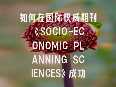 如何在国际权威期刊《SOCIO-ECONOMIC PLANNING SCIENCES》成功发表研究成果？