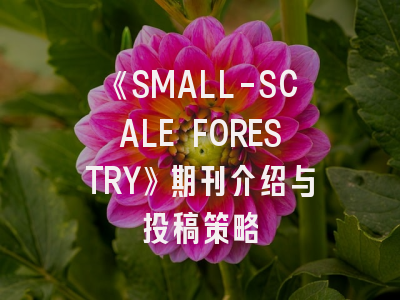 《SMALL-SCALE FORESTRY》期刊介绍与投稿策略