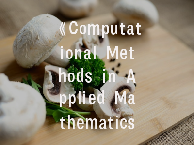 《Computational Methods in Applied Mathematics》期刊解析与实践指南——计算数学研究者的发表路线图