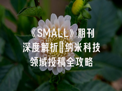 《SMALL》期刊深度解析：纳米科技领域投稿全攻略