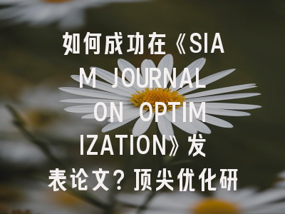 如何成功在《SIAM JOURNAL ON OPTIMIZATION》发表论文？顶尖优化研究者的实战指南