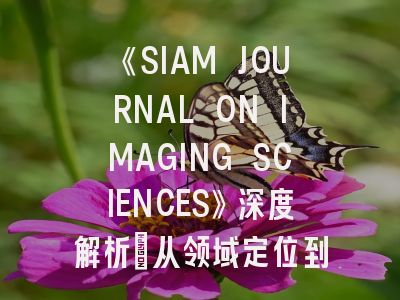 《SIAM JOURNAL ON IMAGING SCIENCES》深度解析：从领域定位到投稿实战指南