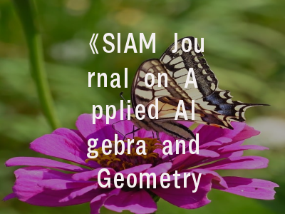 《SIAM Journal on Applied Algebra and Geometry》深度解析：学术新星如何突围代数几何应用领域？