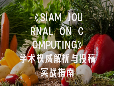 《SIAM JOURNAL ON COMPUTING》学术权威解析与投稿实战指南