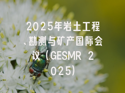 2025年岩土工程、勘测与矿产国际会议（GESMR 2025）