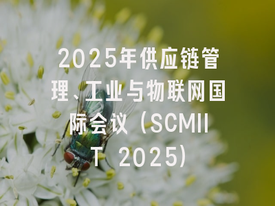 2025年供应链管理、工业与物联网国际会议（SCMIIT 2025）