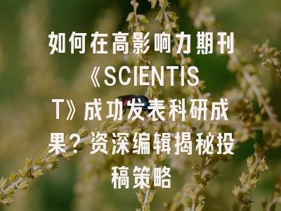 如何在高影响力期刊《SCIENTIST》成功发表科研成果？资深编辑揭秘投稿策略