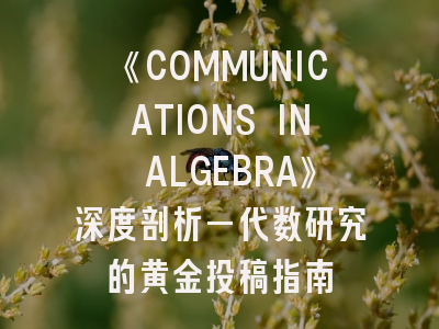 《COMMUNICATIONS IN ALGEBRA》深度剖析—代数研究的黄金投稿指南