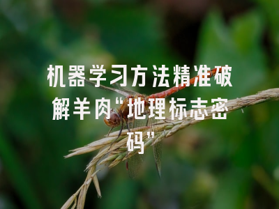 机器学习方法精准破解羊肉“地理标志密码”