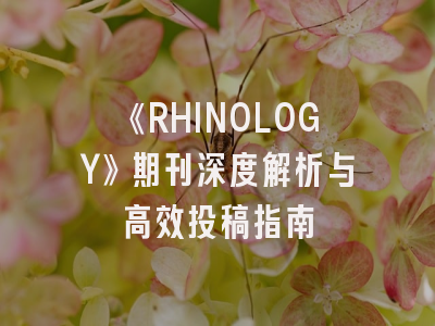 《RHINOLOGY》期刊深度解析与高效投稿指南