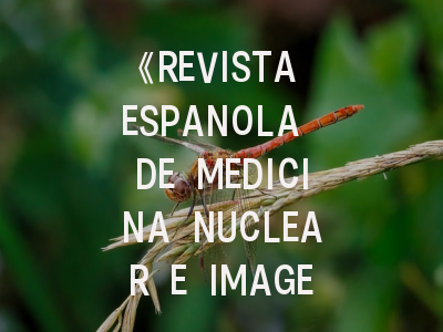 《REVISTA ESPANOLA DE MEDICINA NUCLEAR E IMAGEN MOLECULAR》期刊介绍与投稿策略