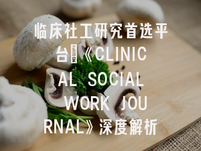 临床社工研究首选平台：《CLINICAL SOCIAL WORK JOURNAL》深度解析与投稿秘籍