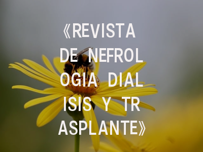 《REVISTA DE NEFROLOGIA DIALISIS Y TRASPLANTE》：从投稿指南到学术影响力解析