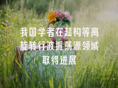 我国学者在超构等离旋转行波振荡源领域取得进展
