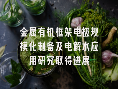 金属有机框架电极规模化制备及电解水应用研究取得进展