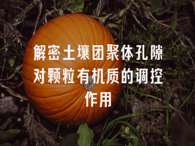 解密土壤团聚体孔隙对颗粒有机质的调控作用